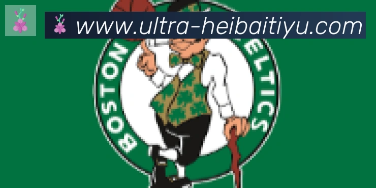 黑白体育直播合作伙伴